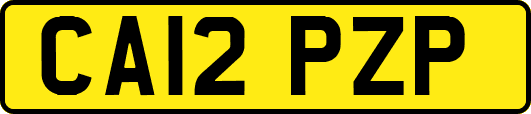 CA12PZP