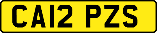CA12PZS