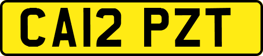 CA12PZT