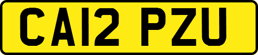 CA12PZU