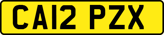 CA12PZX