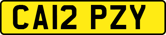 CA12PZY