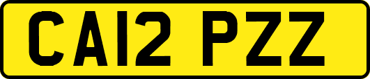 CA12PZZ