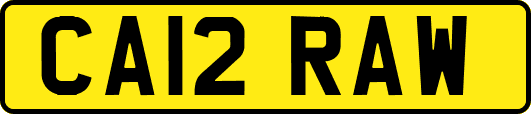 CA12RAW