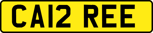 CA12REE