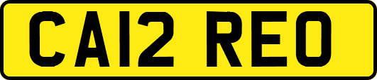 CA12REO