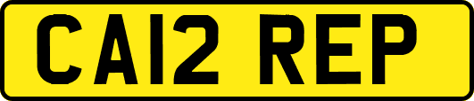 CA12REP
