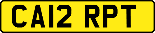 CA12RPT