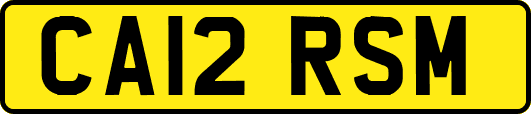 CA12RSM