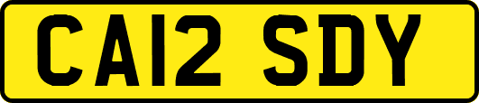 CA12SDY