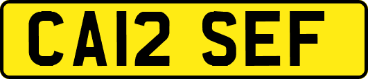 CA12SEF
