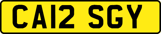 CA12SGY