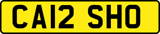 CA12SHO