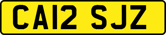CA12SJZ