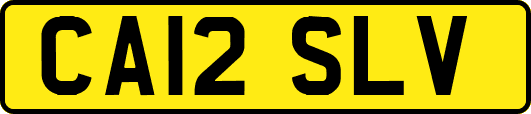 CA12SLV