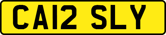 CA12SLY