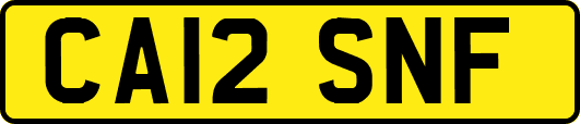 CA12SNF