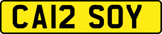 CA12SOY