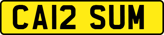 CA12SUM