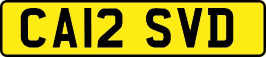 CA12SVD