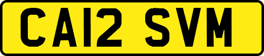 CA12SVM