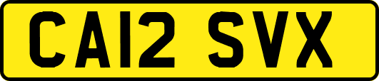 CA12SVX