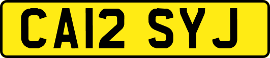 CA12SYJ
