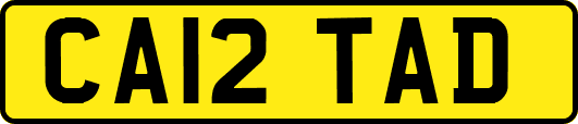 CA12TAD