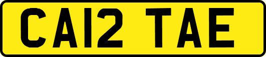 CA12TAE