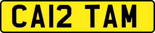 CA12TAM