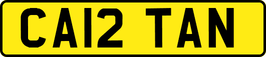 CA12TAN