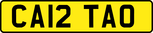 CA12TAO