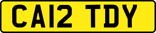 CA12TDY