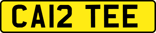 CA12TEE