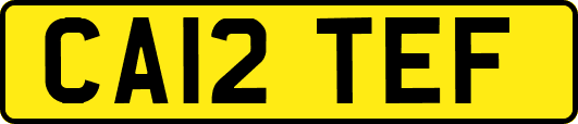 CA12TEF