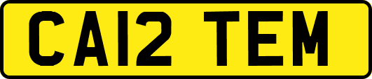 CA12TEM
