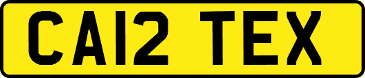 CA12TEX