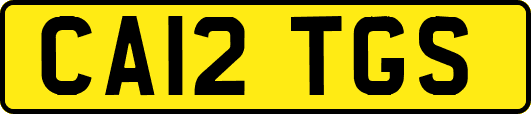 CA12TGS