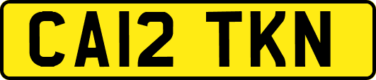 CA12TKN
