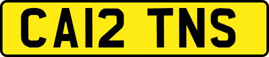 CA12TNS