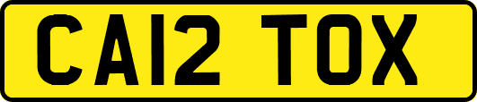 CA12TOX