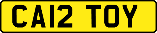 CA12TOY