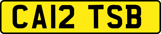 CA12TSB