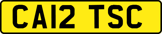 CA12TSC
