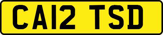 CA12TSD