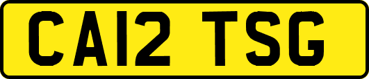 CA12TSG