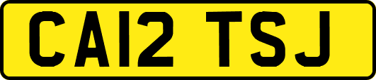 CA12TSJ