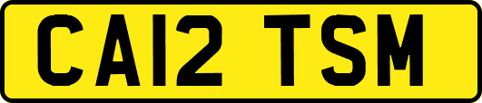 CA12TSM