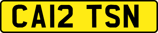 CA12TSN