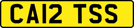 CA12TSS